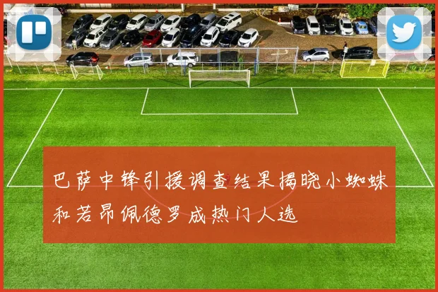 巴萨中锋引援调查结果揭晓小蜘蛛和若昂佩德罗成热门人选