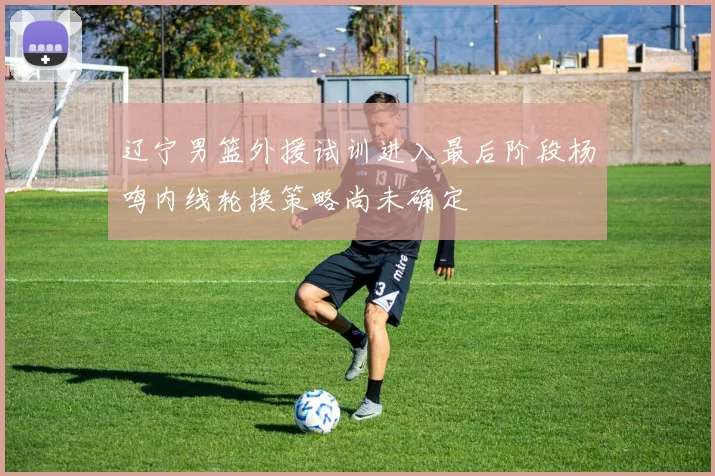 辽宁男篮外援试训进入最后阶段杨鸣内线轮换策略尚未确定