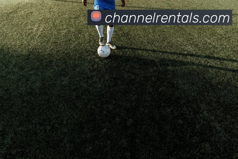 App Interface Preview
